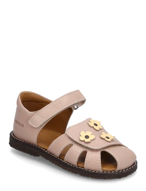 ANGULUS | Sandals - Flat  - Closed Toe | 21