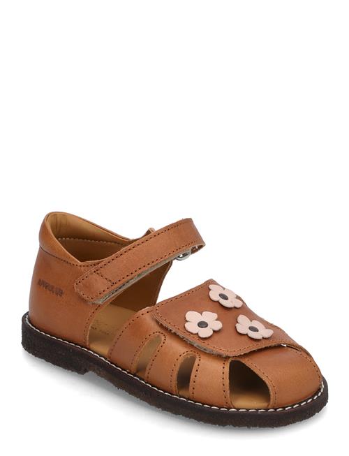 ANGULUS | Sandals - Flat  - Closed Toe | 24