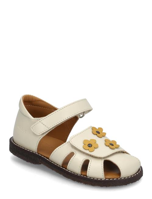 ANGULUS | Sandals - Flat  - Closed Toe | 24