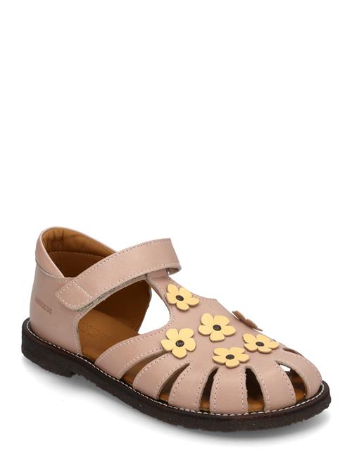 ANGULUS | Sandals - Flat  - Closed Toe | 31