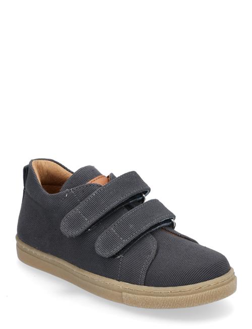 ANGULUS | Shoes - Flat - With Velcro | 26 x 16.90