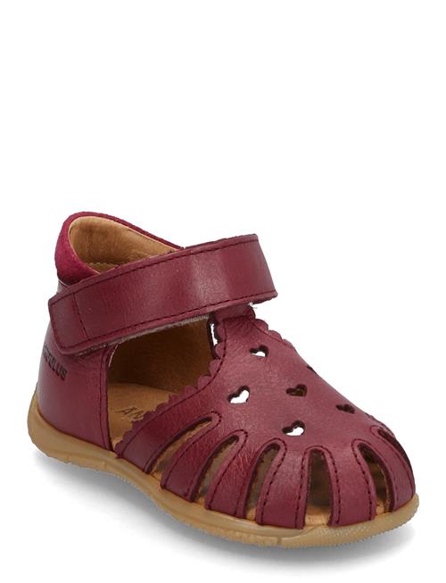 ANGULUS | Sandals - Flat  - Closed Toe | 22