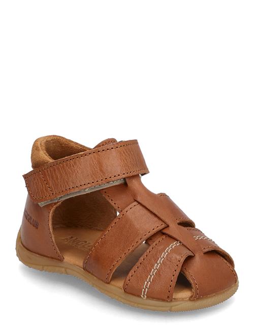 ANGULUS | Sandals - Flat  - Closed Toe | 21