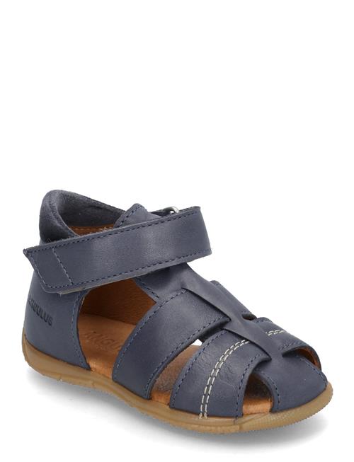ANGULUS | Sandals - Flat  - Closed Toe | 23