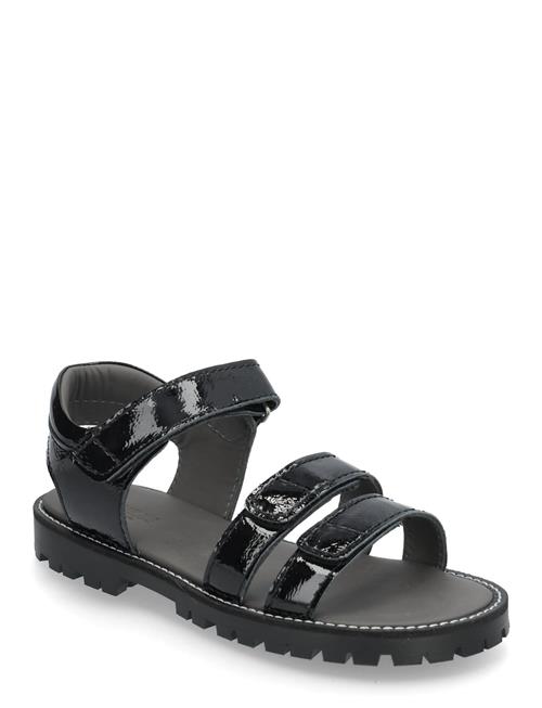 ANGULUS | Sandals - Flat  - Open Toe - Op | 34