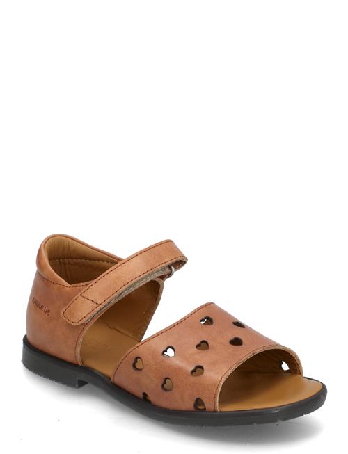ANGULUS | Sandals - Flat  - Open Toe - Op | 34