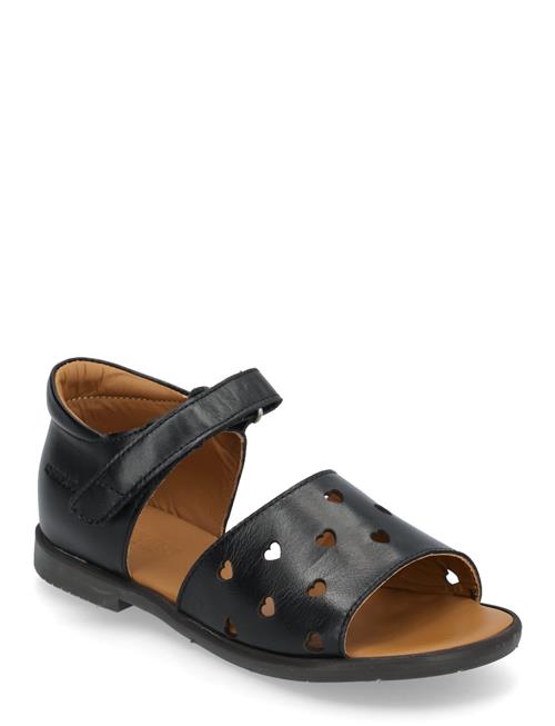 ANGULUS | Sandals - Flat  - Open Toe - Op | 30