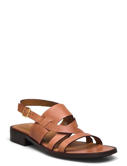 ANGULUS | Sandals - Flat | 39