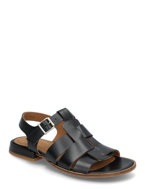 ANGULUS | Sandals - Flat  - Open Toe - Op | 38.5