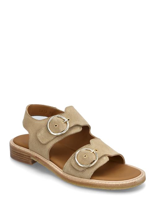 ANGULUS | Sandals - Flat  - Open Toe - Op | 35