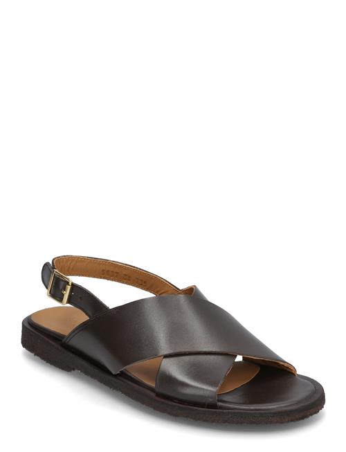ANGULUS | Sandals - Flat  - Open Toe - Op | 42