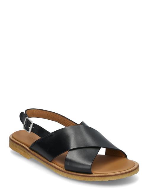 ANGULUS | Sandals - Flat  - Open Toe - Op | 38