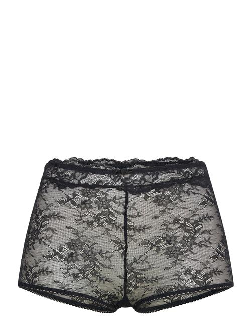 Dorina | Origins Boyshorts | M