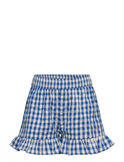 The New | Tnnally Shorts | 170/176