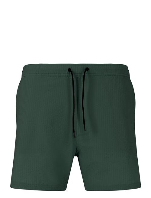 Virtus | Talon M Seersucker Board Shorts | XXL