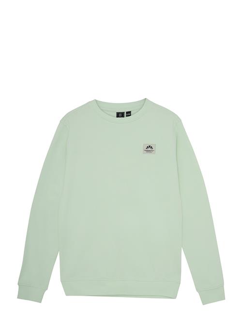 Indian Blue Jeans | Sweater Backprint | 116