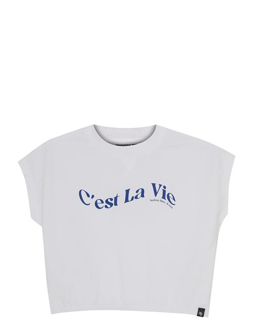 Indian Blue Jeans | T-Shirt Wide Cropped | 140