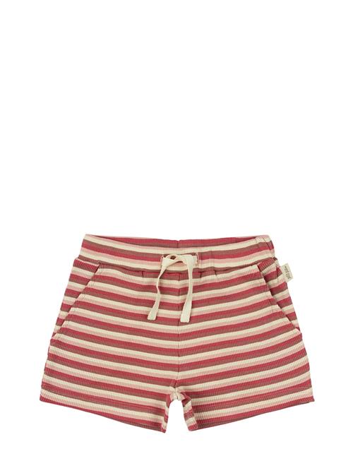 Petit Piao | Shorts Modal Multi Striped | 74
