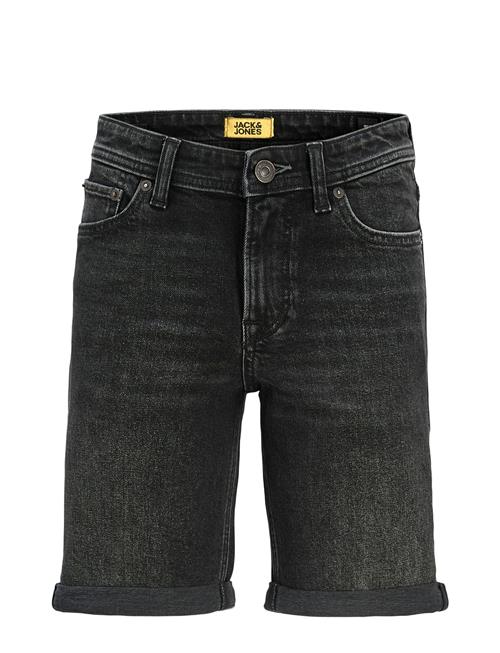 Jack & Jones | Jjirick Jjoriginal Shorts Am 360 Sn Mni | 116