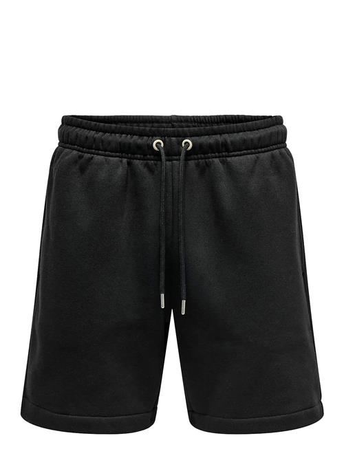 ONLY & SONS | Onsdawson Reg Sweat Shorts Vd | L