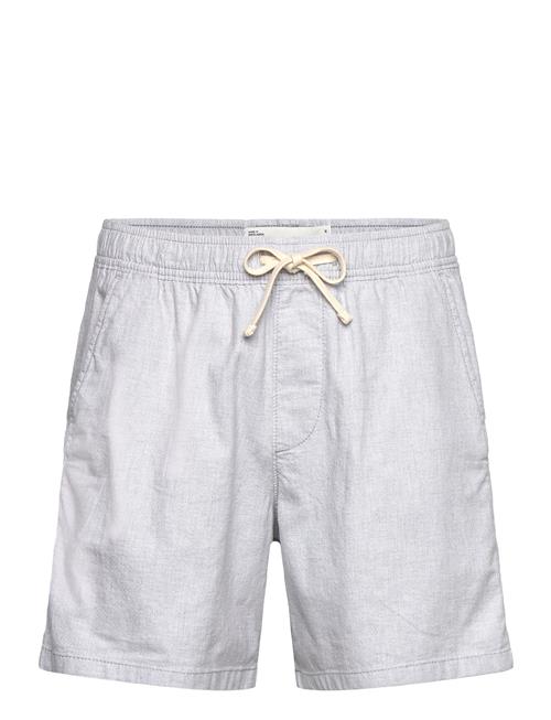 Hollister | Hco. Guys Shorts | XS