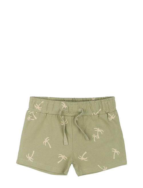 The New | Tnstotto Toddler Shorts | 104