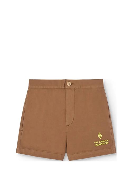 THE ANIMALS OBSERVATORY | Pig Kid Shorts Brown | 3 Y