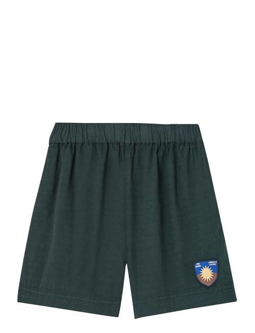 THE ANIMALS OBSERVATORY | Bee Kid Bermuda Shorts Deep Green | 10 Y