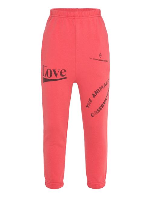 THE ANIMALS OBSERVATORY | Dromedary Kid Sweatpants Red | 6 Y