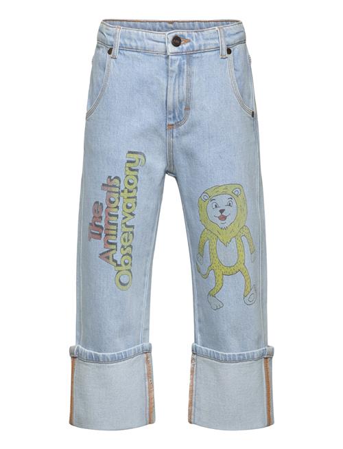 THE ANIMALS OBSERVATORY | Ant Kid Jeans Blue | 6 Y
