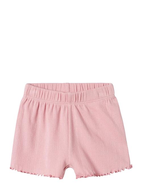 name it | Nbfhalley Shorts | 62