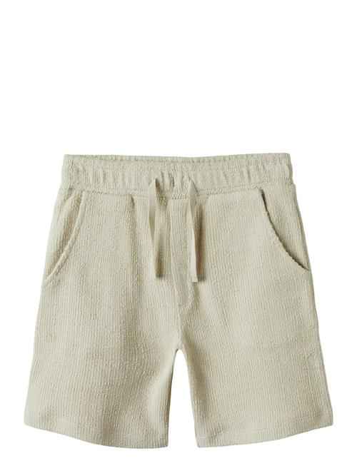name it | Nkmhivaj Nreg Shorts | 140