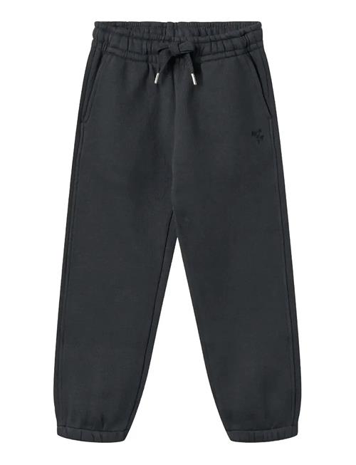 Wheat | Sweatpants Cruz | 122