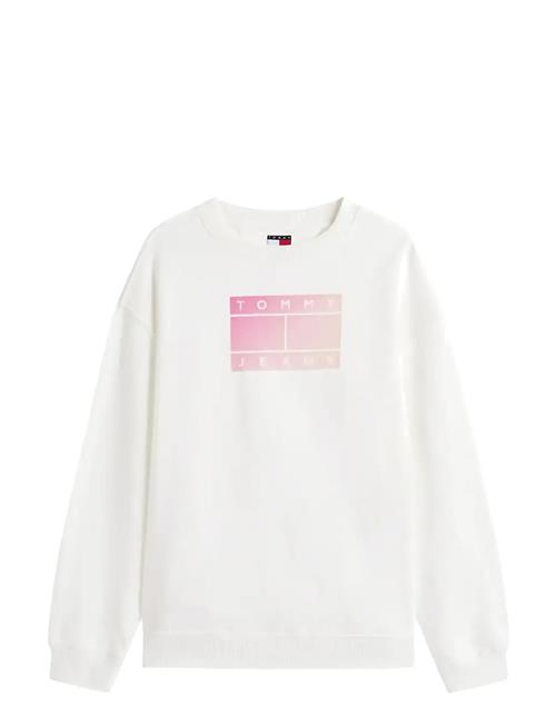 Tommy Jeans | Tjw Rlx Gradient Flag Crew | L