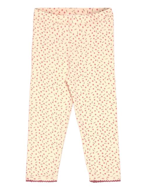 The New | Tnsbodette Pointelle Leggings | 62