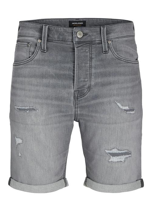 Jack & Jones | Jjirick Jjicon I.k. Shorts Ge 064 | L