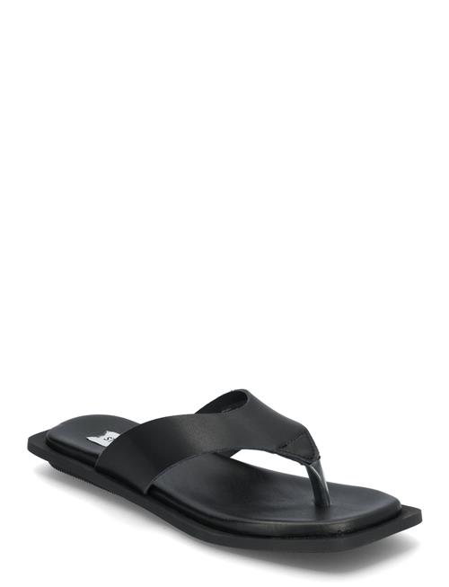 Steve Madden | Splash Sandals | 37
