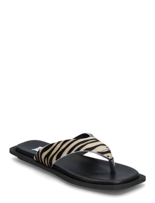 Steve Madden | Splash-L Sandals | 37