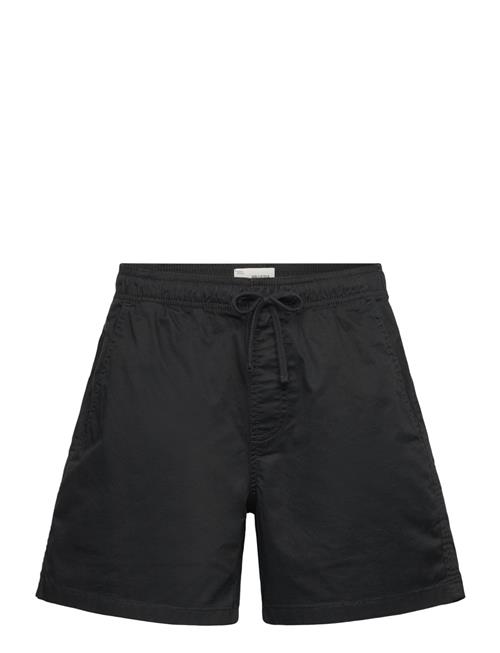 Hollister | Hco. Guys Shorts | S