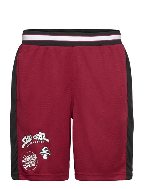 Santa Cruz | Winkowski Ocho Mesh Shorts | L