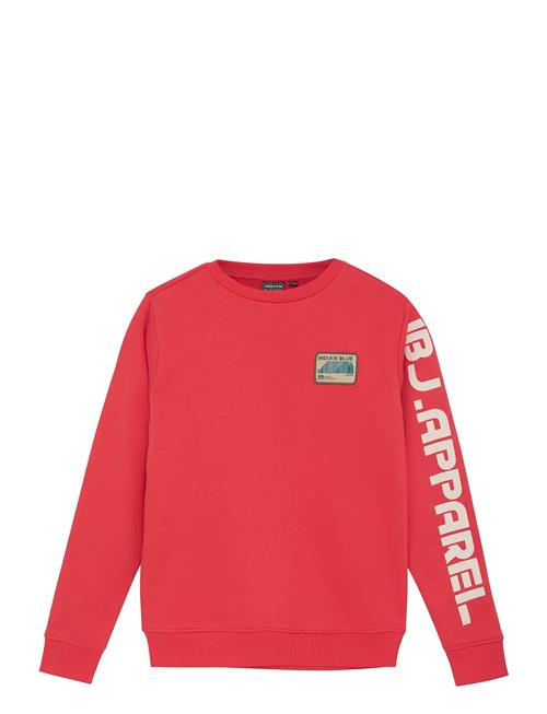 Indian Blue Jeans | Sweater Print Sleeve | 152