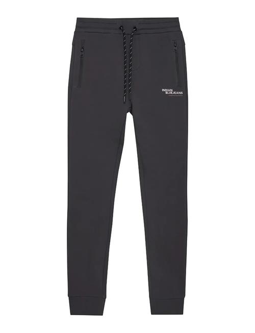 Indian Blue Jeans | Jogpant Basic | 164