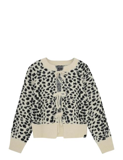 Indian Blue Jeans | Knitted Spotty | 110