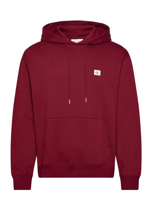 Calvin Klein Jeans | Ls Eu 350Terry Badge Hoodie | L