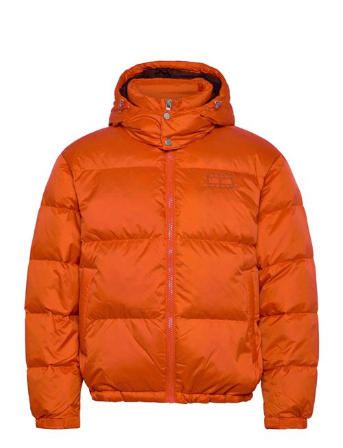 Tommy Jeans | Tjm Alaska Down Puffer Ext | M