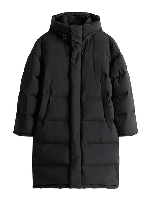 Tommy Jeans | Tjm Hooded Down Maxi Puffer | L
