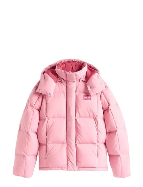 Tommy Jeans | Tjw Alaska Grid Down Jacket Ext | M