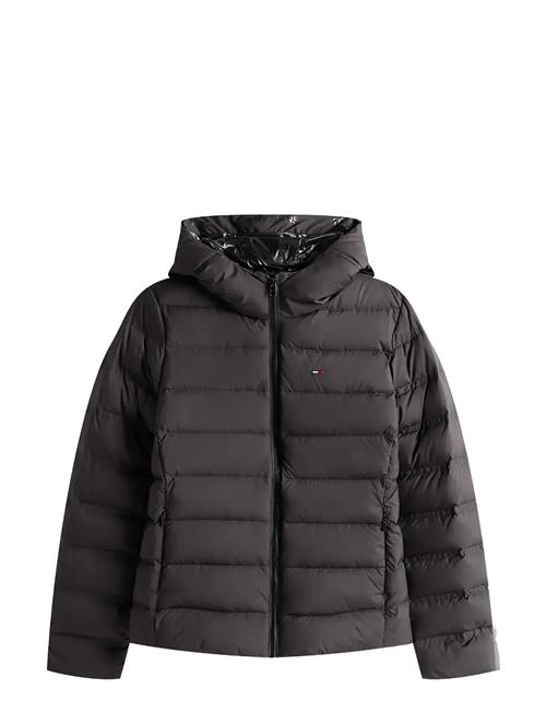 Tommy Jeans | Tjw Slim Hood Prnt Down Jckt Ext | M