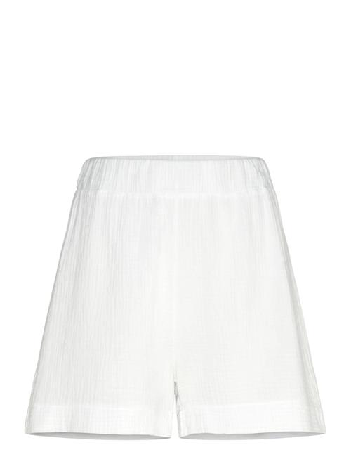 Noella | Layne Shorts | L/XL