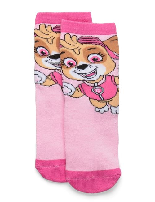 Se Paw Patrol | Socks | 31/34 hos Booztlet